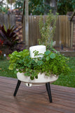 Composta wormfarm and garden in one