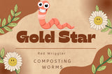 Red Wriggler Compost Worms