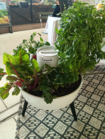 Brisbane Council FREE Composta kit