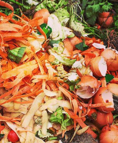 Food waste