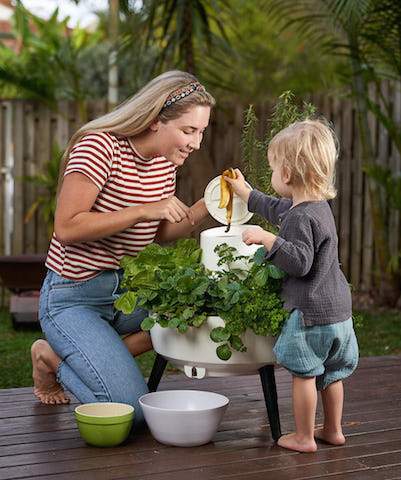 Fresh Composta herbs and leafy vegetables